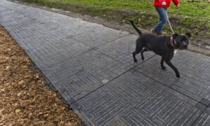 Mauling to Death of Pregnant Woman Exposes ‘Brutal Chic’