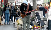 Pigeon Grooves to Busker’s Tune