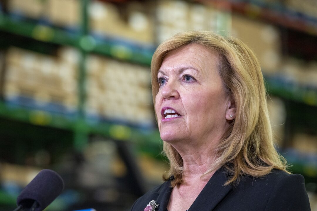Ontario Health Minister Christine Elliott answers questions during a briefing at McKesson Canada in Toronto on Dec. 1, 2020. (Frank Gunn/The Canadian Press)