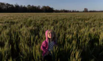 Australian Agriculture on Track to Miss $100B Target