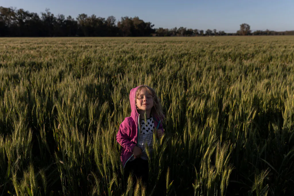 Bonnie Taylor plays amongst the wheat fields on the family farm  outside Coonabarabran on October 01, 2020 in Coonabarabran, Australia. (Brook Mitchell/Getty Images)