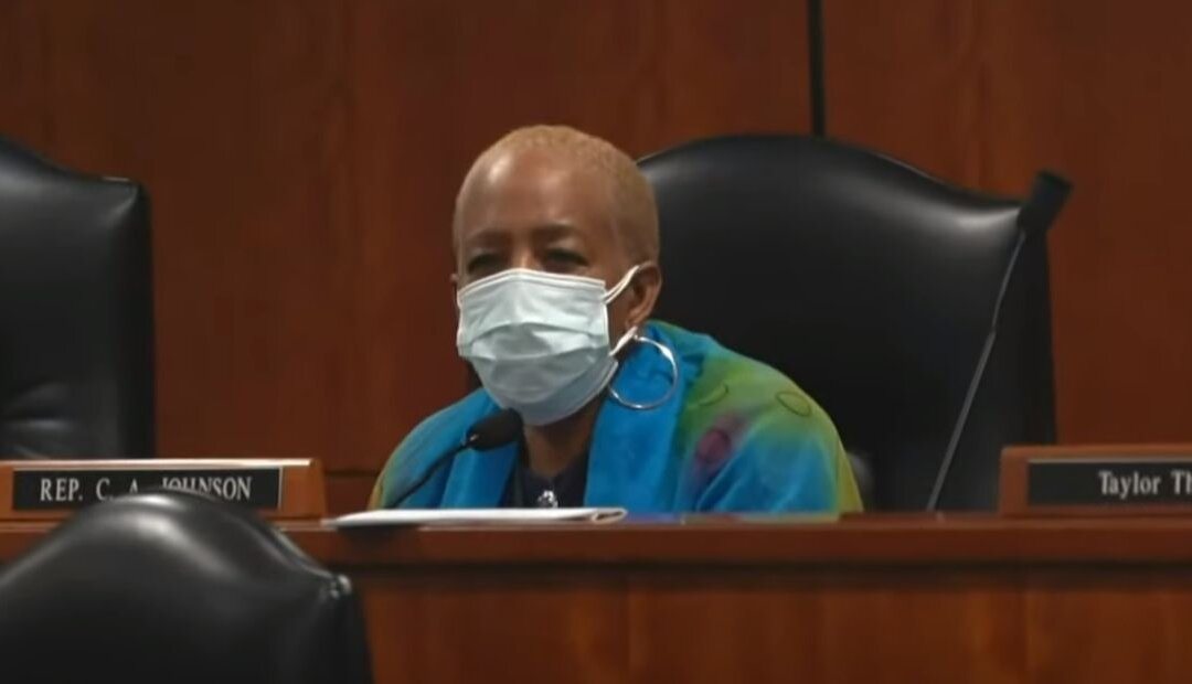 Michigan Lawmaker Removed From Committees, Citing ‘Threats’ in Video