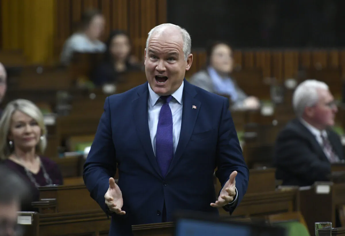 Conservative Leader Erin O'Toole rises during Question Period in the House of Commons on Parliament Hill in Ottawa on Dec. 10, 2020. (The Canadian Press/Justin Tang)