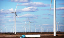 Texas Moves Ahead With Bill That Could See Halting of Chinese Wind Farm Project