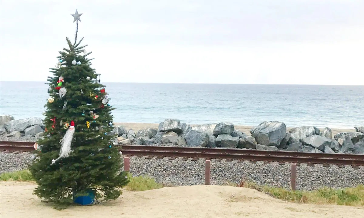 San Clemente's missing community Christmas tree has been returned to the beach trail. (Courtesy of Deborah Sheldrake-Stetson)