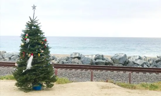 Missing Christmas Tree Saga Gets a Happy Ending