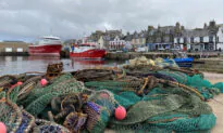 Scottish Fishermen Halt Exports Due to Brexit Red Tape, ‘It’s a Catastrophe’