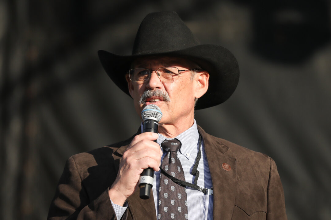 Arizona Lawmaker Says Media ‘Losing Their Minds’ After He Attended Election Documentary Screening