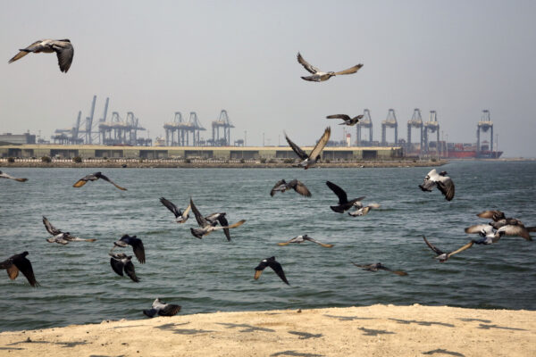 port city of Jiddah