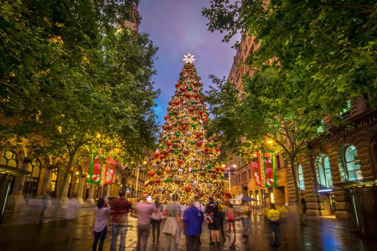 Sydney Christmas Tree on Nov. 22, 2018 at Martin Place, Sydney. (Katherine Griffiths)