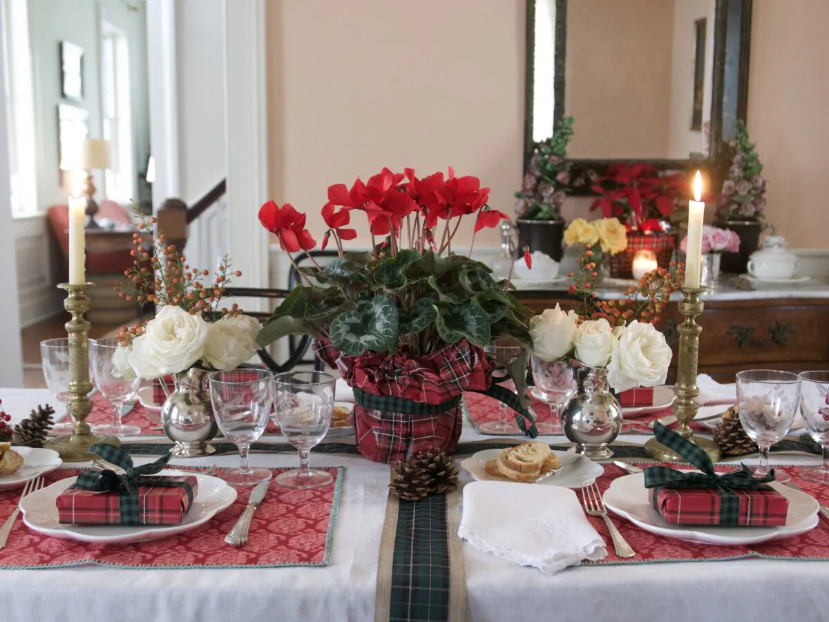 A festive Christmas table, decorated with tartan ribbons, flowers, and greenery from the garden. (Victoria de la Maza)