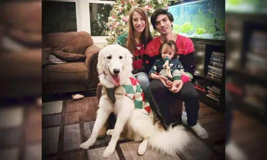 Puppy Acting Strange Sniffs Out Electrical Fire Behind the Wall, Saves Whole Family’s Lives