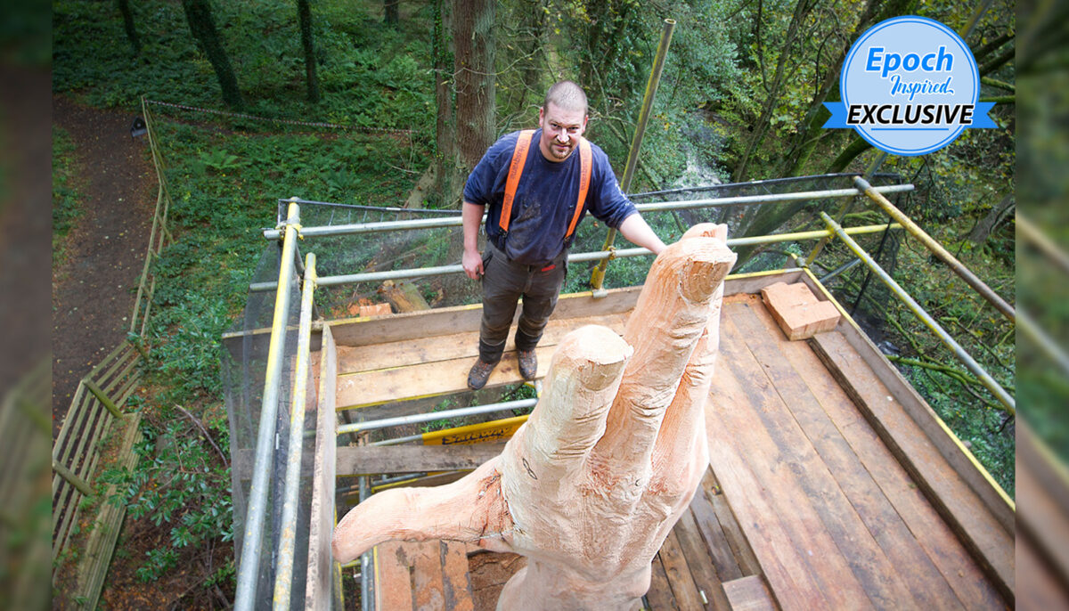 Man Sculpts Giant Hand From Tallest Tree in Wales Severely Damaged by Storm - Vimarsana News