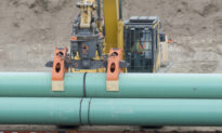 Trans Mountain Pauses Pipeline Expansion Construction After Worker Seriously Injured