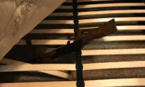 Anaheim Police Arrest Three for Halloween Drive-By Shooting