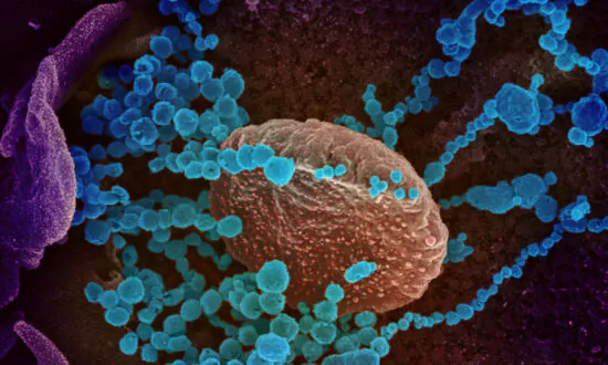 FDA Authorizes Breath Test to Detect COVID-19