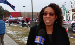 Michigan Republican Party Ethnic Vice Chair: 'There's a Lot of Fraud Going On'