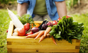 Holiday Gift Ideas for Gardeners Who Love to Cook