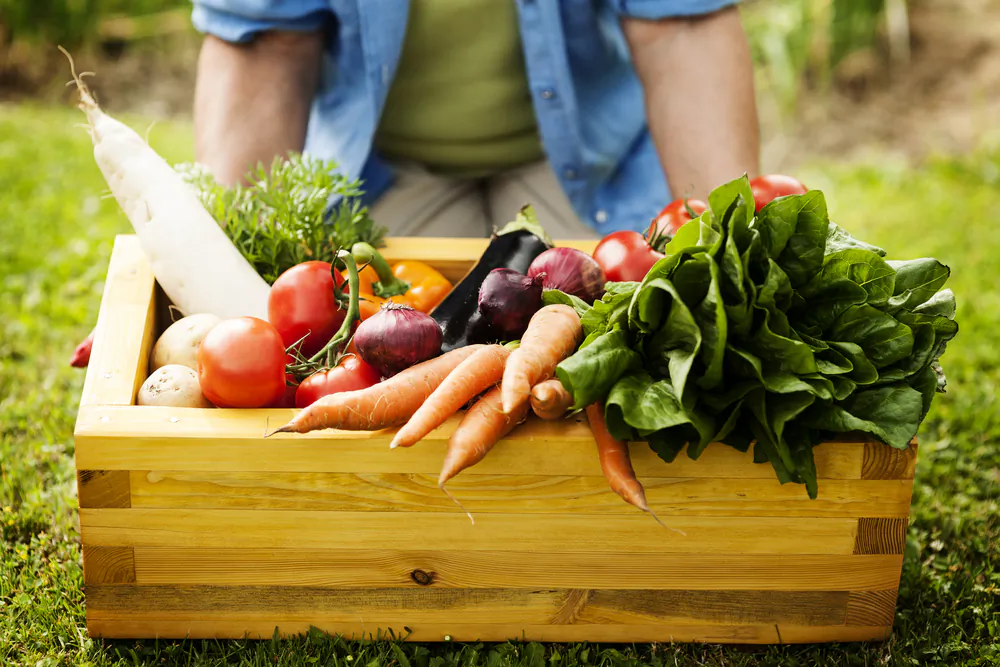 Many people who didn't like to eat their vegetables as kids find out how good they are by eating them fresh off the plants they help plant and grow. (gpointstudio/Shutterstock)