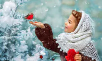 Stars in the Darkness: A Christmas Letter to My Grandchildren