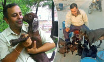 Man Dedicates His Life to Help Animals in Need, Has Rescued Over 900 of Them
