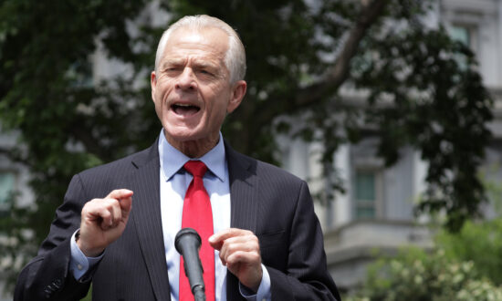Peter Navarro Calls on Georgia to Delay Senate Runoff to February