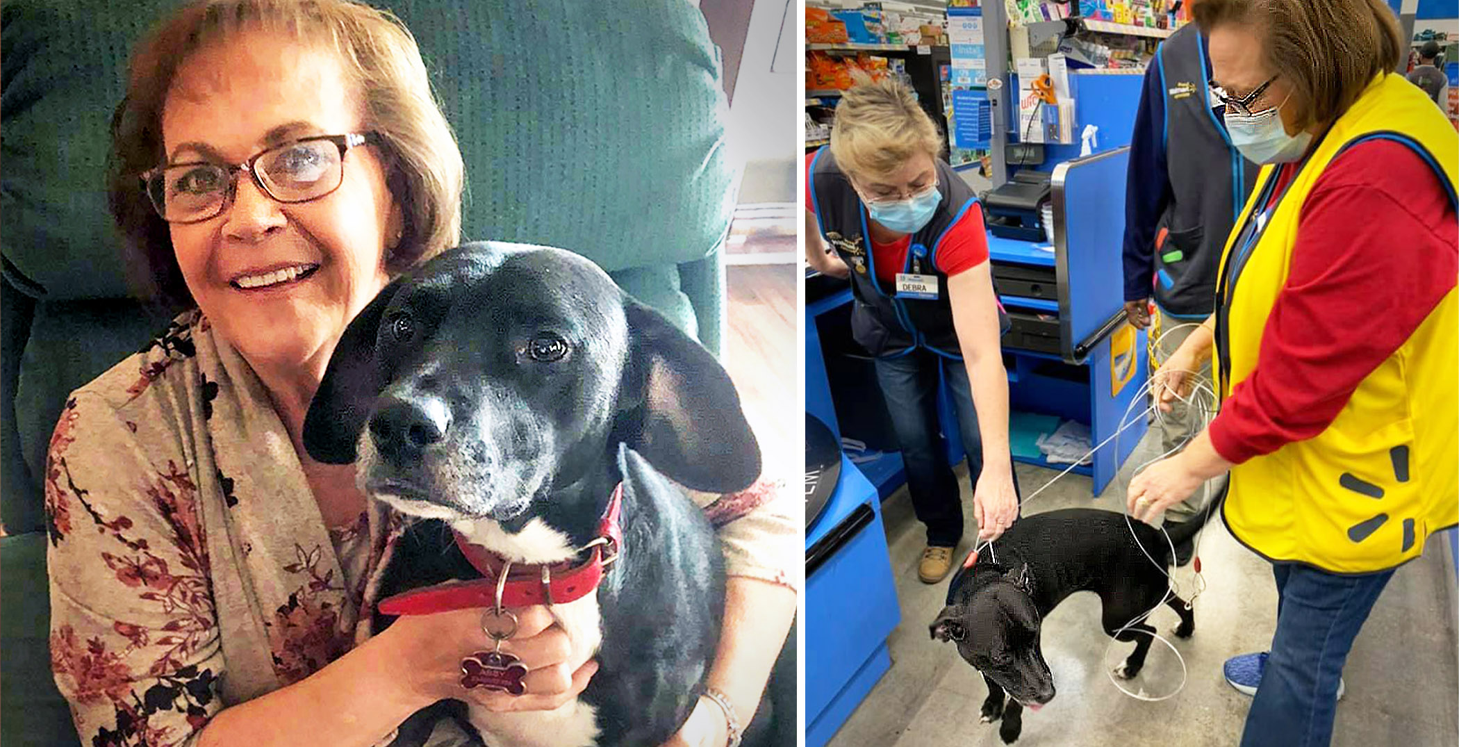 Reunion at Walmart: Dog Lost for 3 Weeks Wanders Into Store to Find Owner at Work - Vimarsana News