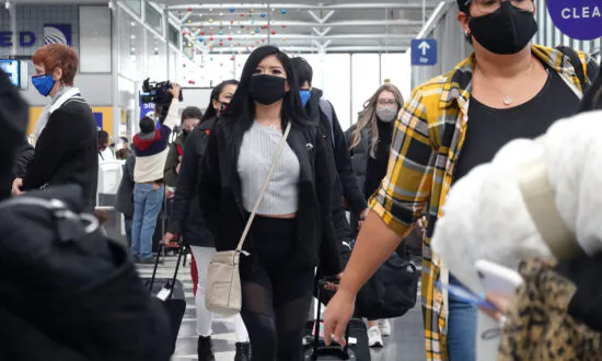 Before Christmas, TSA Recorded Highest Number of Travelers Since March