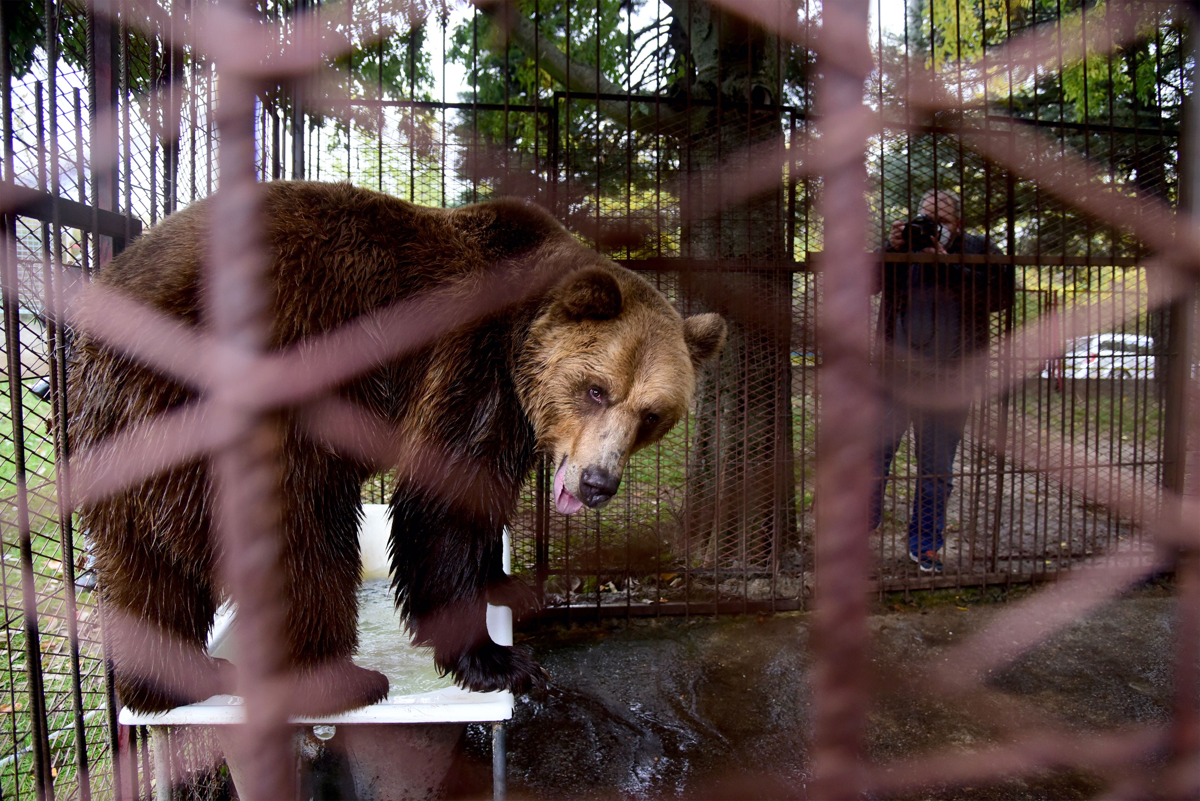 Epoch Times Photo