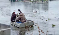 A Group of Good Samaritans Rescue a Struggling Deer From an Icy Lake in a Rowboat