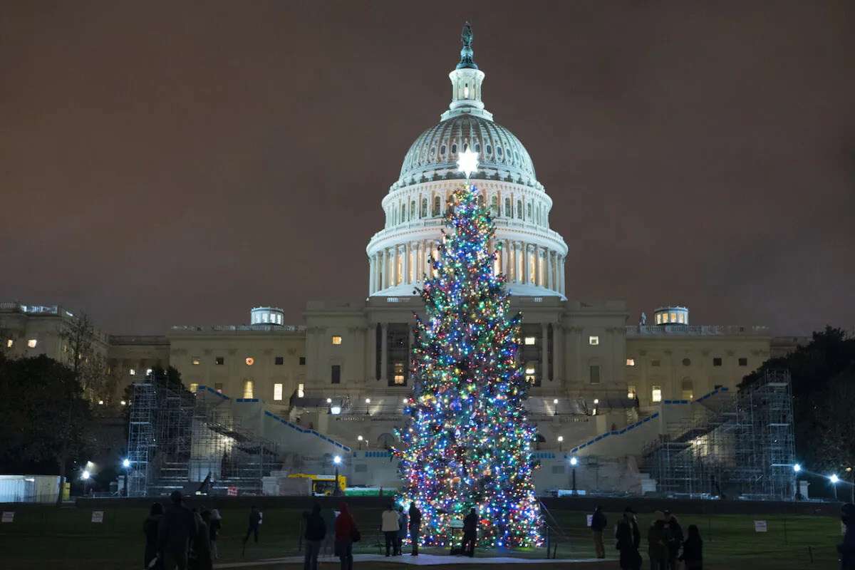 U.S. Capitol Christmas Tree is seen at the U.S. Capitol in Washington on Dec. 20, 2020. (AP Photo/Jose Luis Magana)