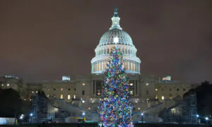 Christmas Tree Arrives at US Capitol