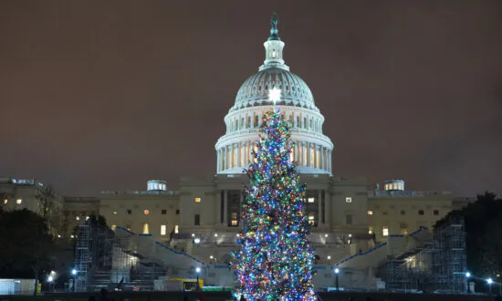 Christmas Tree Arrives at US Capitol