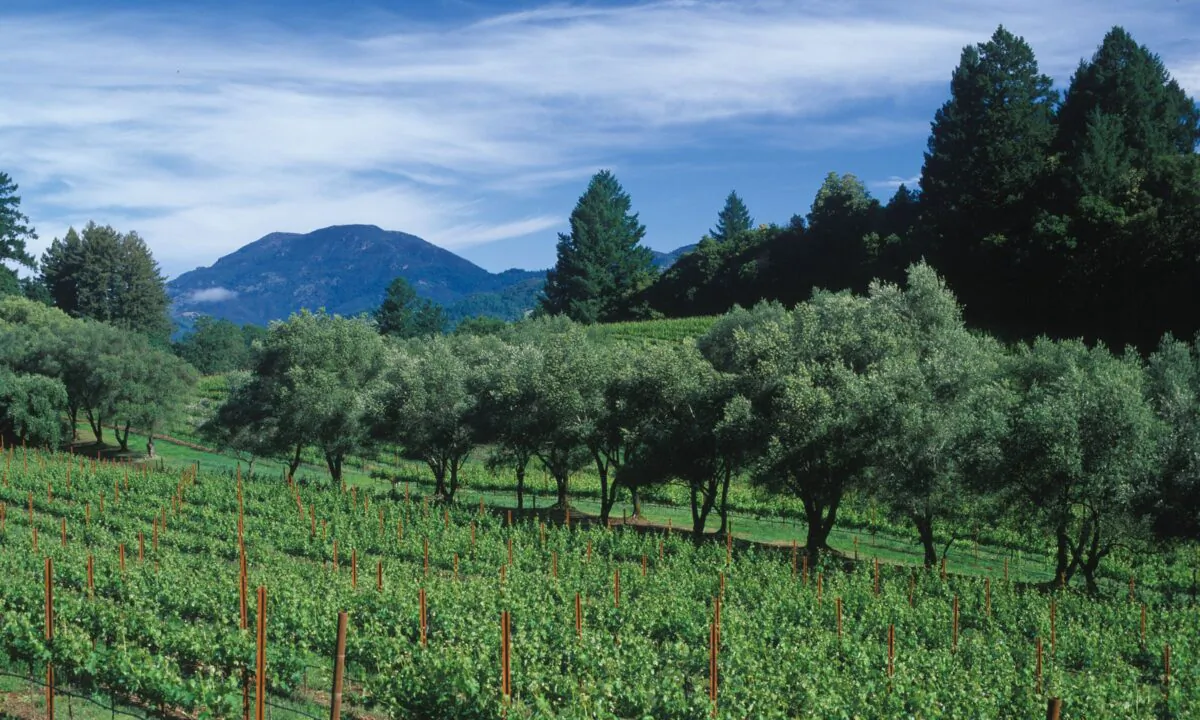 The historic Schramsberg Vineyards in Calistoga, California. (Courtesy of Schramsberg Vineyards)