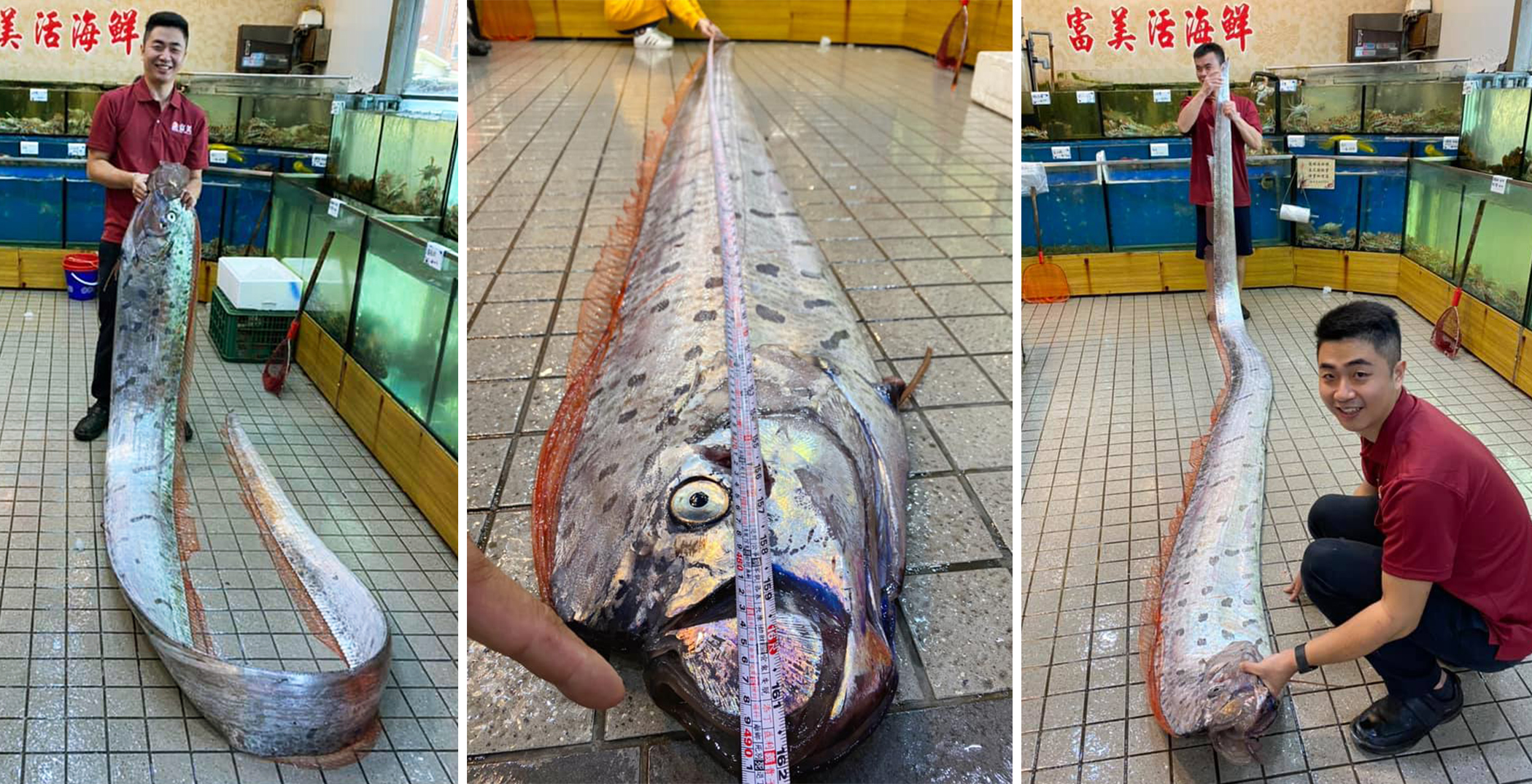 16Foot ‘Earthquake Fish’ Caught After Quakes Strike Coast of Taiwan