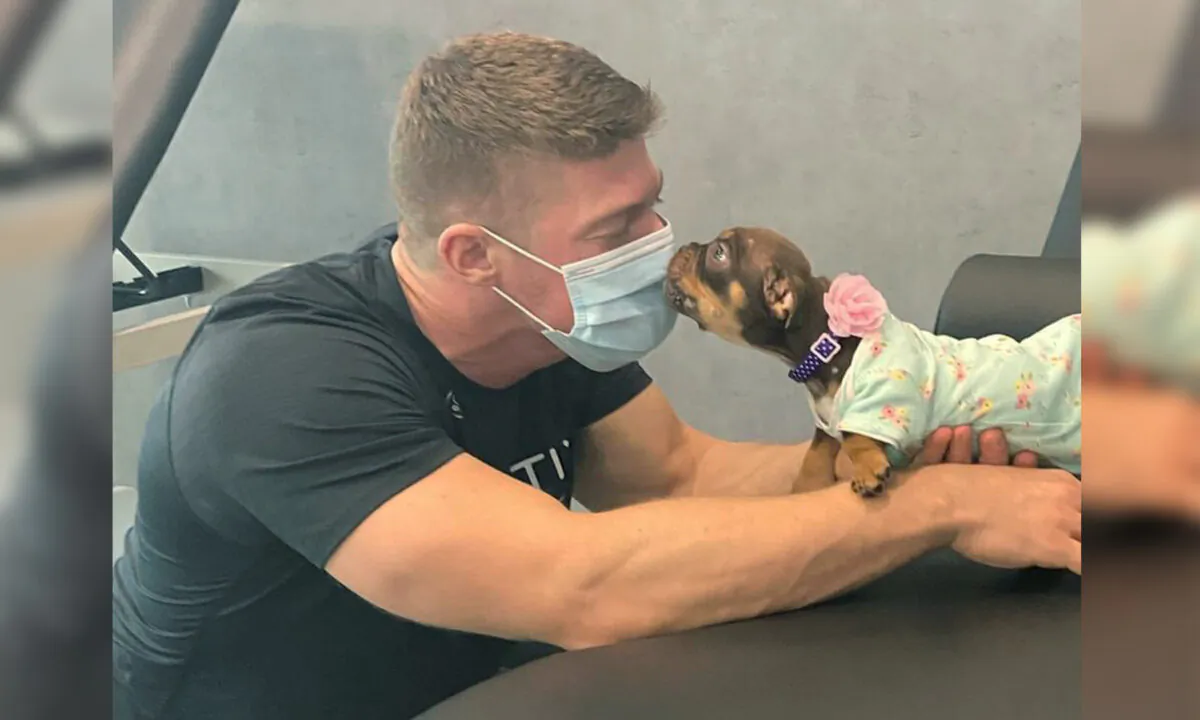(Courtesy of Good Karma Pet Rescue of South Florida)