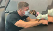 Paralyzed Puppy Nearly Starved to Death by Owners Finds Hope With Physical Therapist