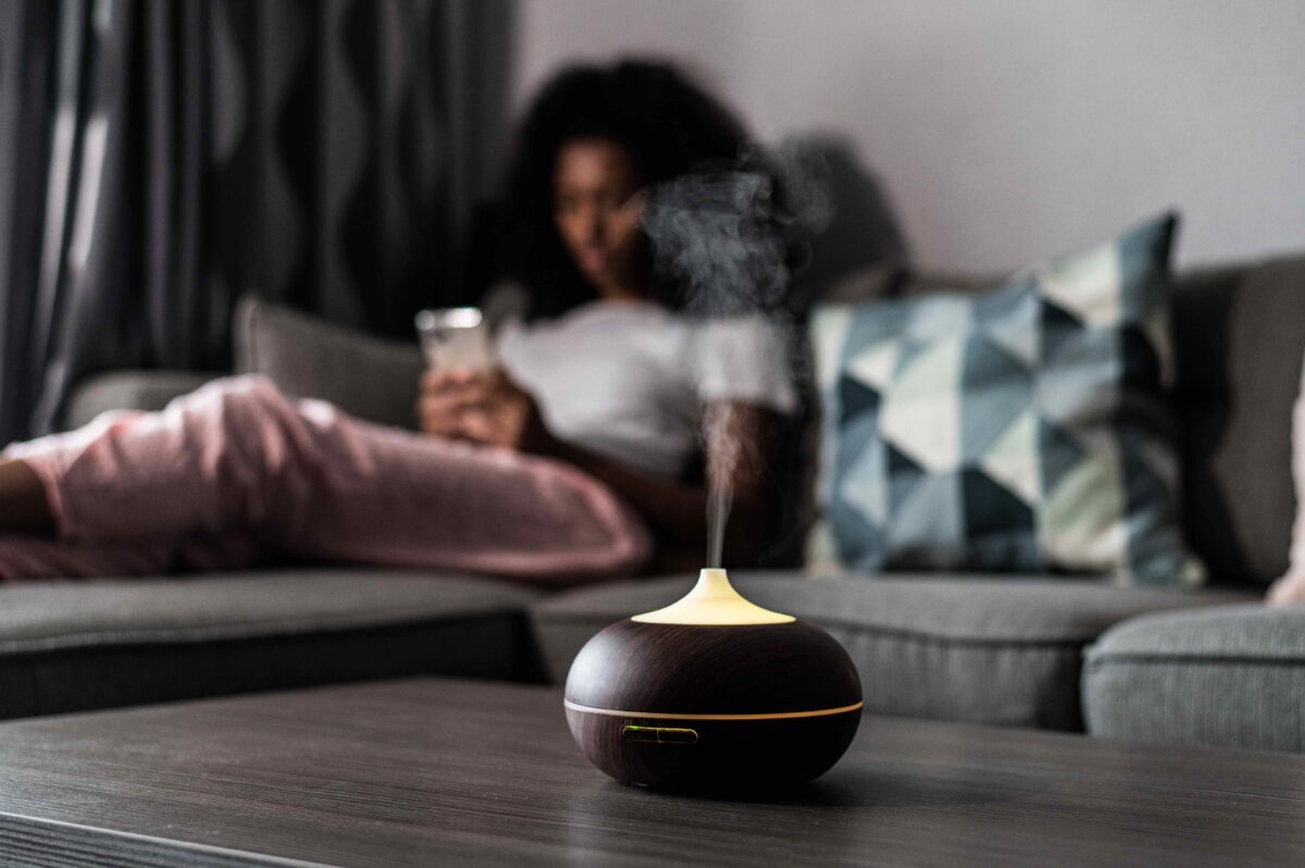 Humidifiers can add moisture to indoor air which tends to be dry, even during more humid times of year.(avid Prado Perucha/Shutterstock)