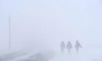 Blizzard Blasts Nunavut, 135 km/h Winds Rip Off Stairs and Crush Cabins