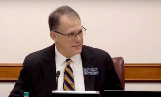 Full Video: Georgia Senate Subcommittee Holds Hearing on Election Issues