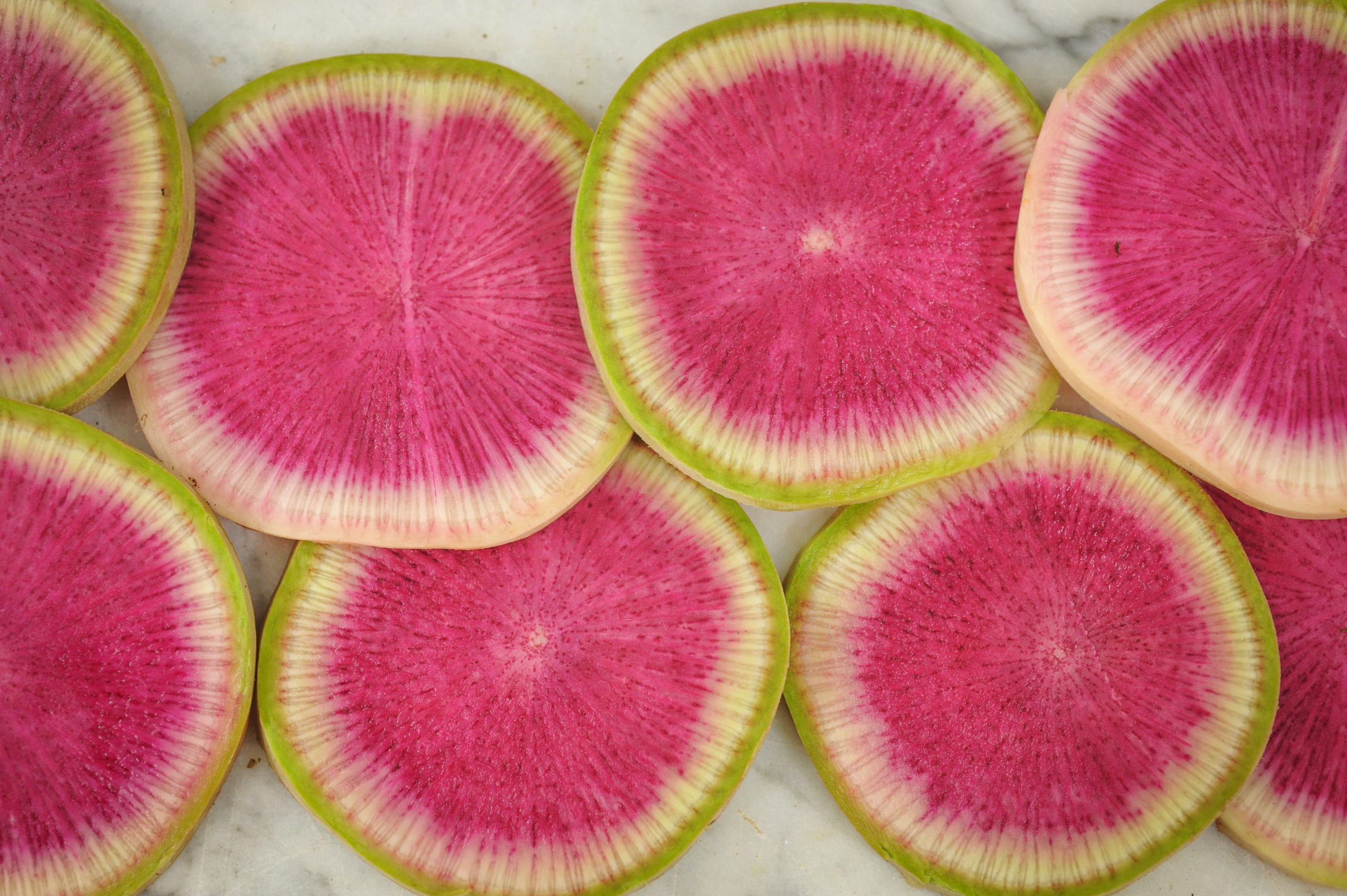 chinese watermelon radish