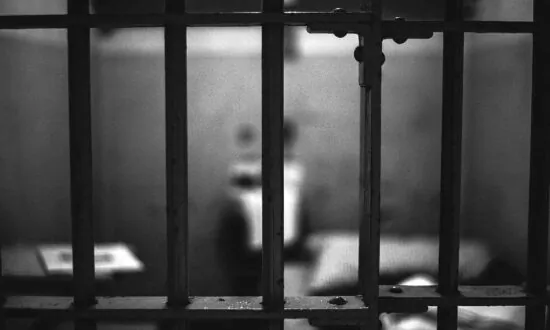 Free Mitch Rutledge