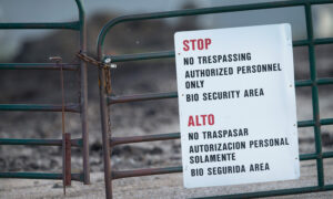 Pandemics, Prevention, and the Certainty of Blame