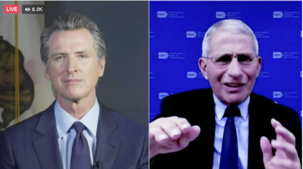 newsom and fauci california