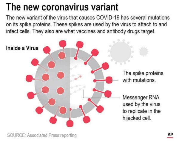 virus