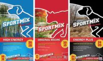 FDA Issues Pet Food Recall After 28 Dogs Die, Eight Sickened
