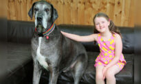 World’s Tallest Dog, Great Dane Freddy, Dies at the Age of 8: ‘Missed by Everyone’