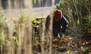 Cultivate Your Mental Health This Winter