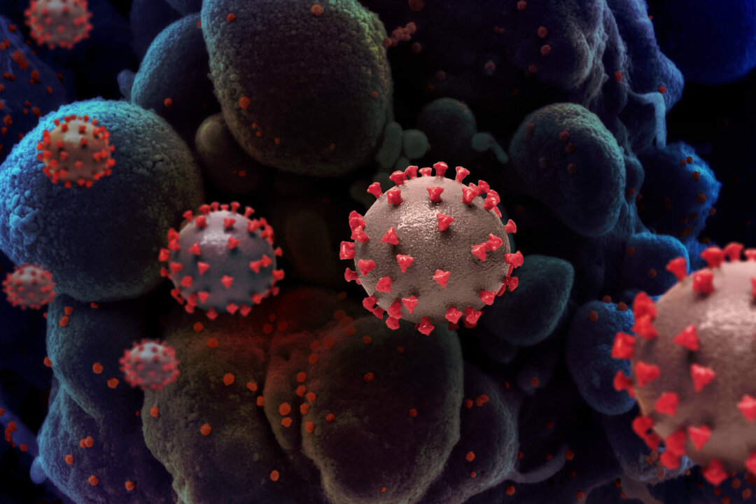 Creative rendition of SARS-CoV-2 virus particles. Note: not to scale. (NIAID [shorturl.at/hHKWY])

