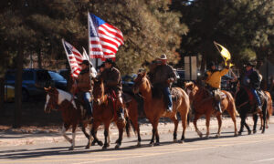 Protesters Flood Statehouses in 17 States